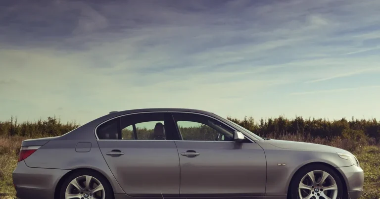 BMW 5 Series sedan side profile in a field