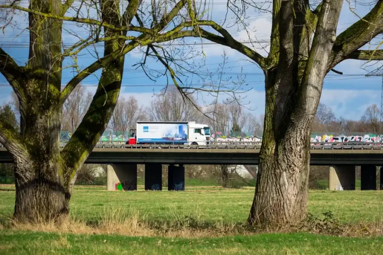White box truck driving across a highway bridge seen between two large trees