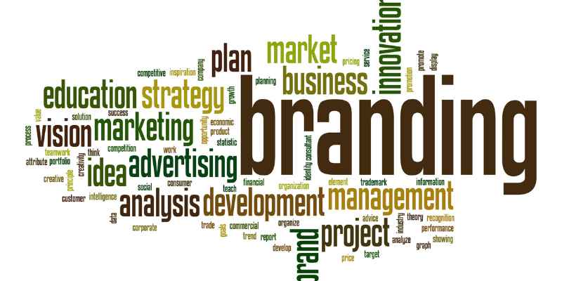 Automotive Part Brands: Top Picks for Peak Performance