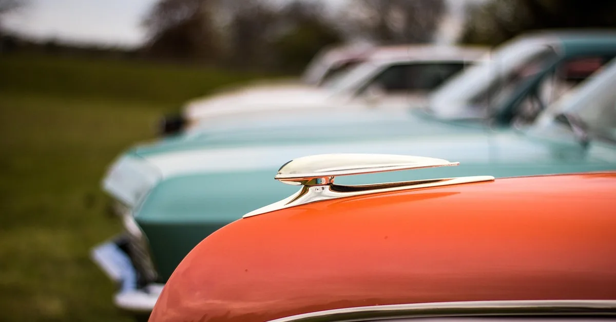Row of classic cars parked on grass at an outdoor car show