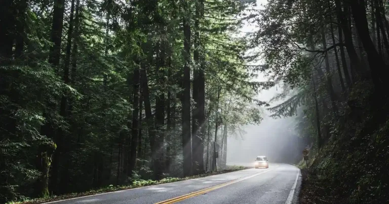 A car on a scenic road, evoking classic road trip food culture