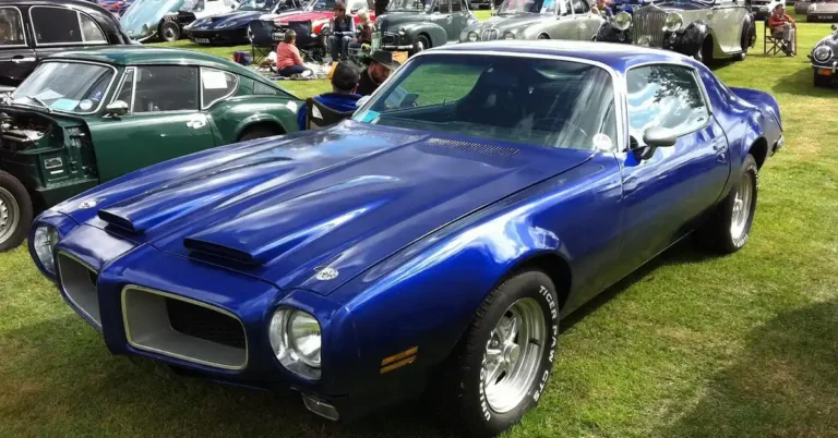A classic car show where automotive enthusiasts gather