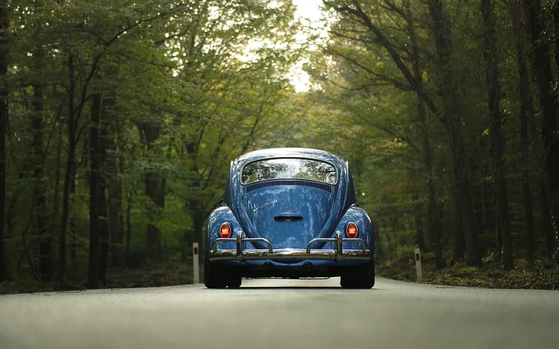 Vintage car driving down a tree-lined road, symbolizing the freedom drivers associate with car ownership