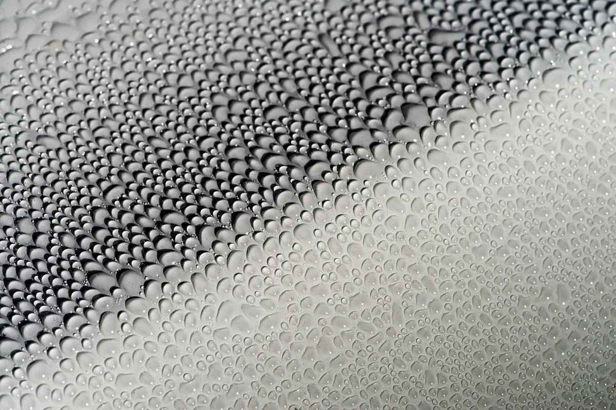 Applying wax to a car after washing to protect the paint
