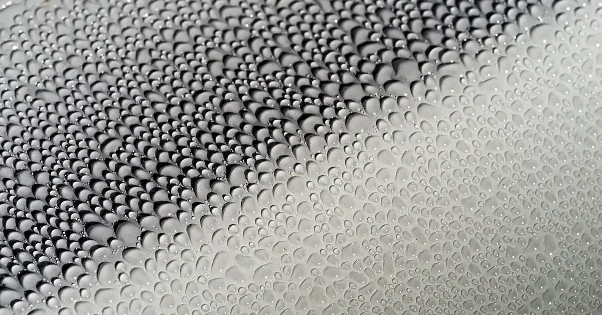 Water beading on a freshly waxed car body showing a deep, glossy finish