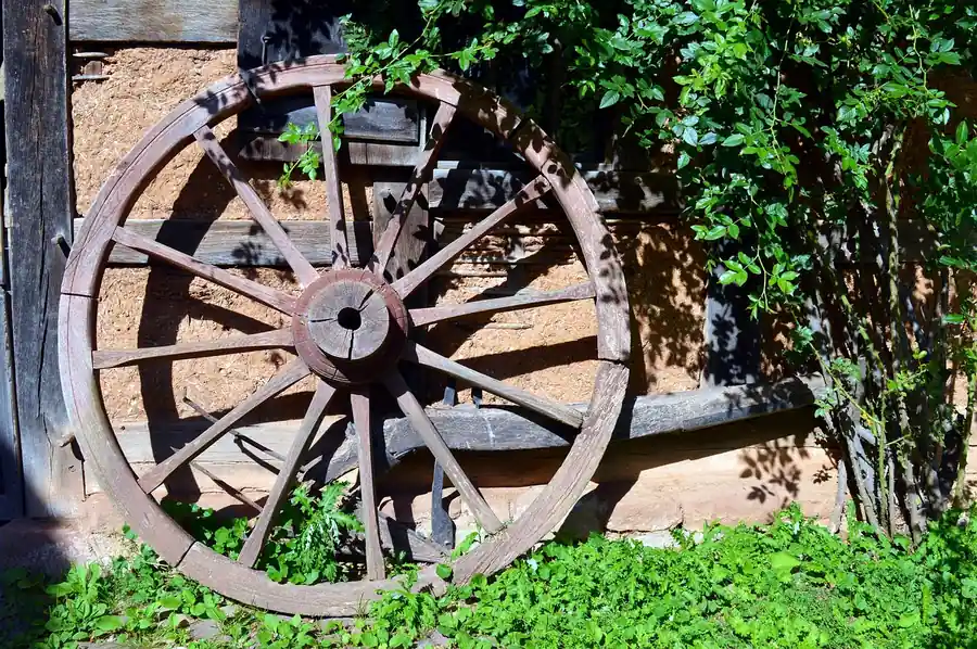 Old wooden spoked wagon wheel leaning against a wall with climbing plants
