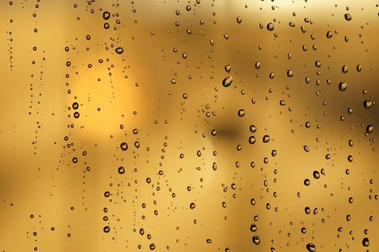 Water droplets on a glass pane with warm golden light behind it
