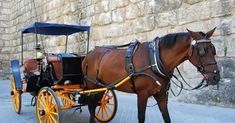 Horse-drawn carriage with yellow wheels on a cobblestone street