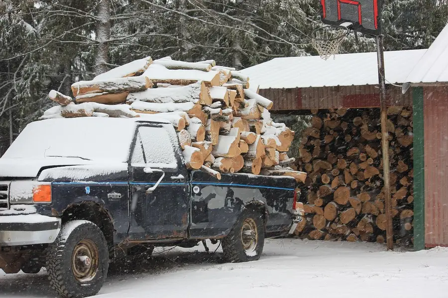 Pickup truck with its bed loaded with split firewood in the snow