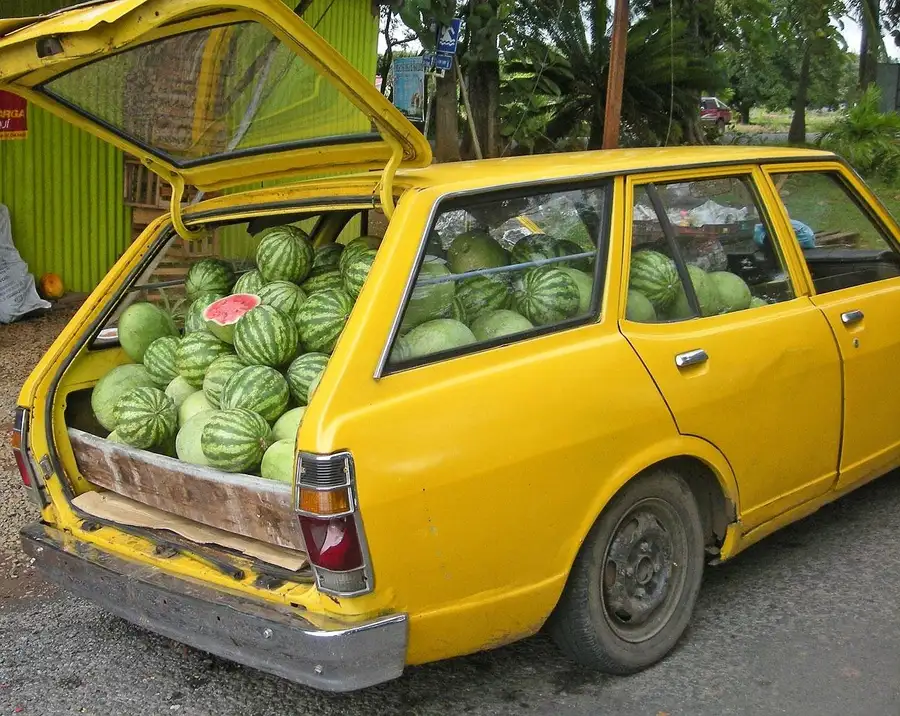 Station wagon with its rear hatch raised and loaded with watermelons