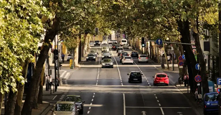 Cars driving along a tree-lined city street