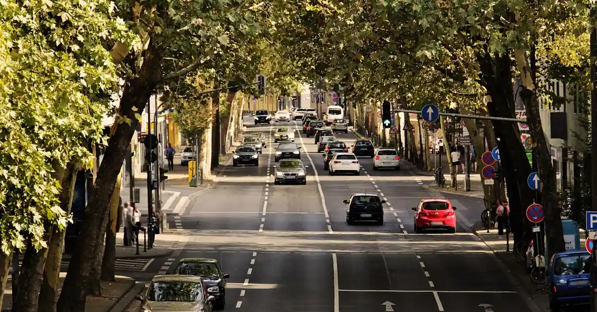 Cars driving along a tree-lined city street