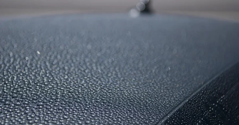 Water beading tightly on a ceramic-coated car roof after washing