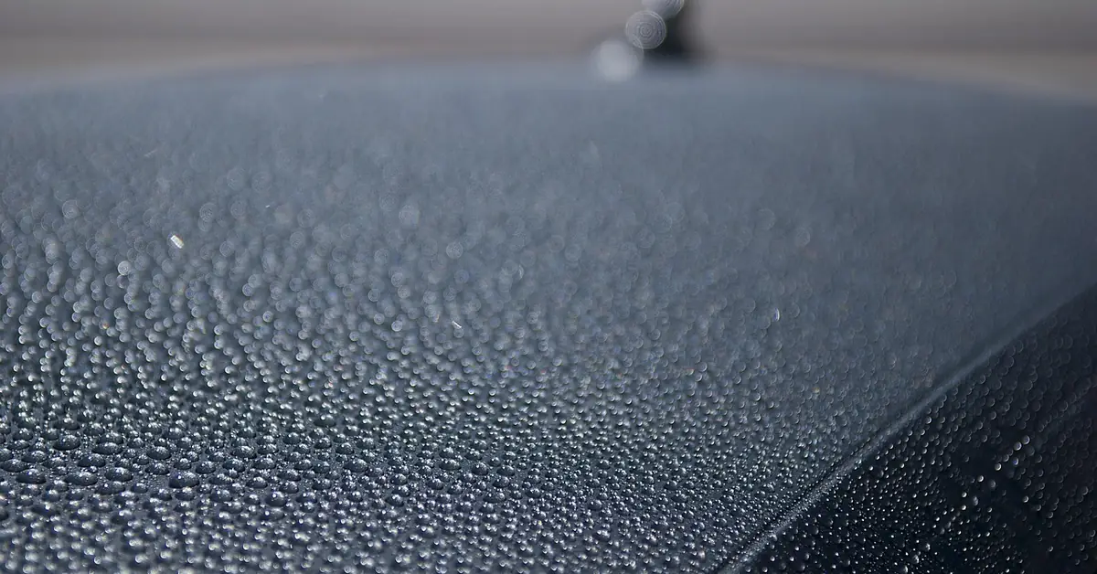 Water beading tightly on a ceramic-coated car roof after washing