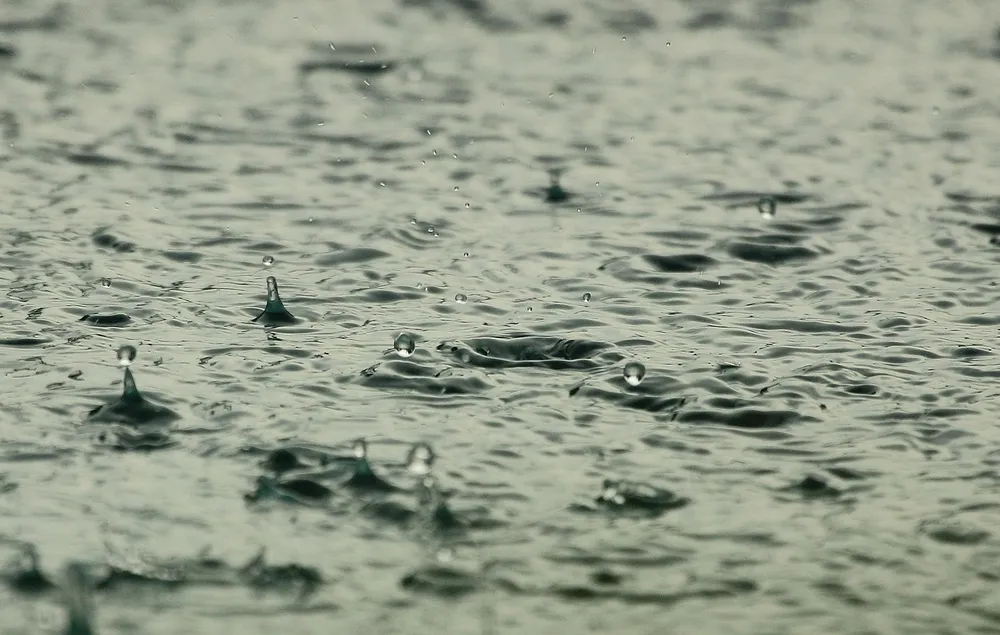 Raindrops and ripples on a water surface