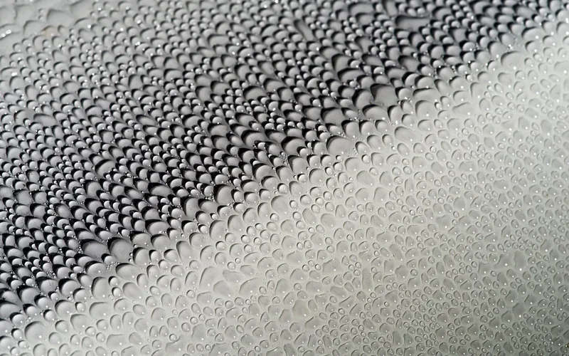 Water beading on a freshly waxed metallic car body panel