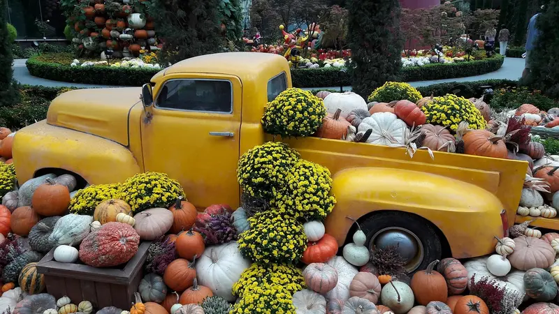Yellow pickup truck with its bed filled with pumpkins and yellow flowers in a garden display