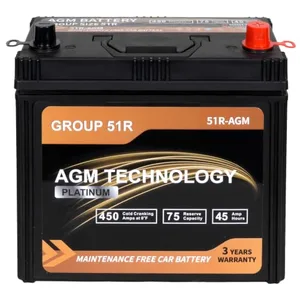 Weize Platinum AGM Battery