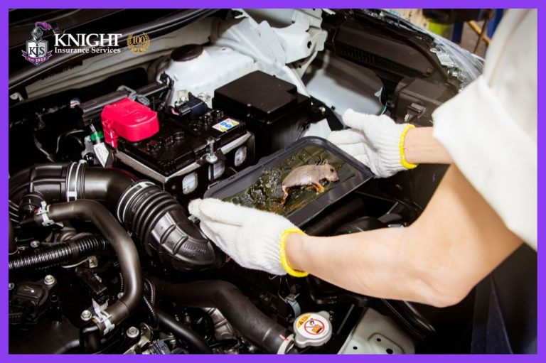 Does Car Insurance Cover Rodent Damage