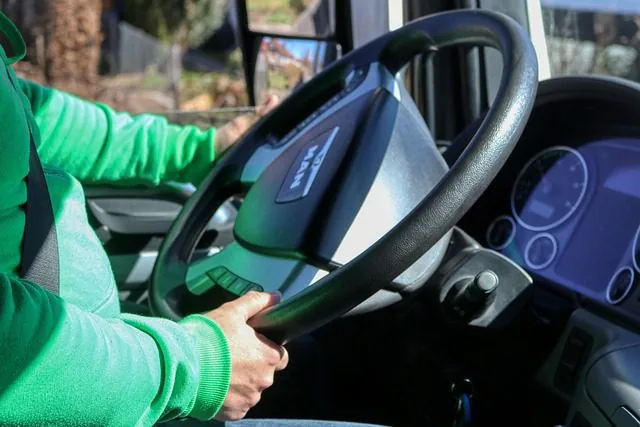 Driver's hands on a steering wheel representing licensed drivers