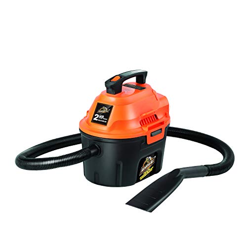 Wet Vacuum for Car Detailing