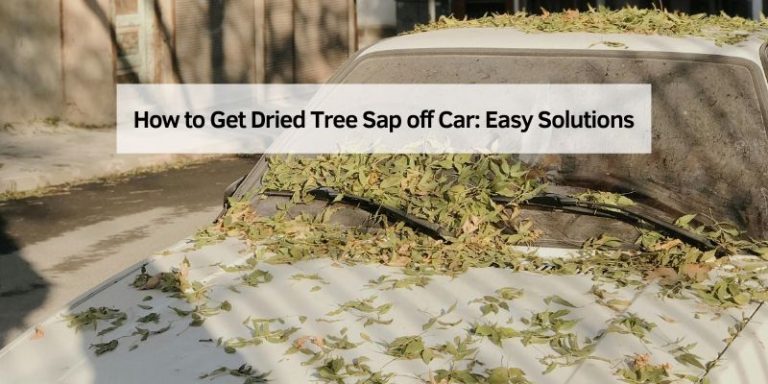 How to Get Dried Tree Sap off Car