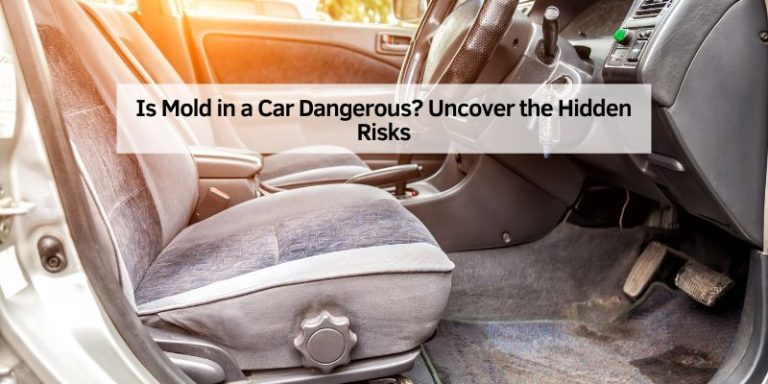 Is Mold in a Car Dangerous