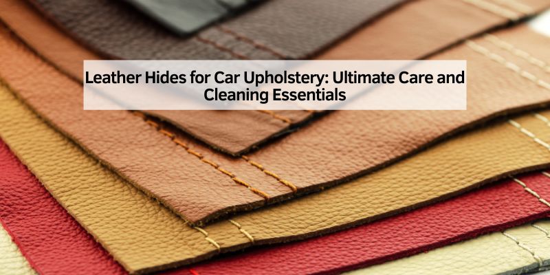 Leather Hides for Car Upholstery