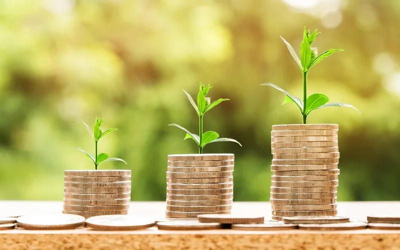 Three stacks of coins of rising height with a small green seedling on each