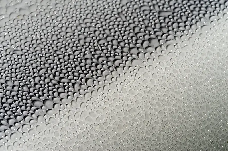 Water beads on a glossy painted car surface