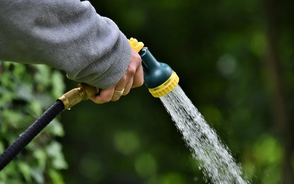 Hand holding a garden hose with an adjustable spray nozzle releasing water