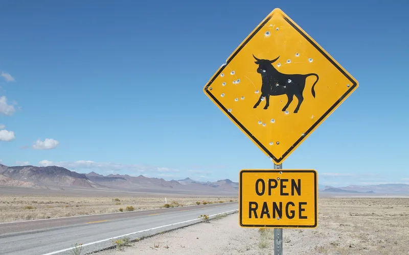 Open range cattle crossing warning sign on a rural highway