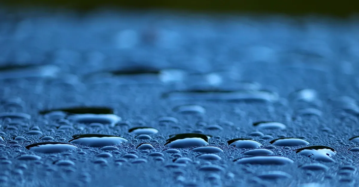 Water droplets beading on a smooth painted car surface