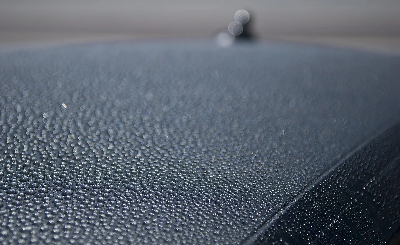 Applying wax by hand to a car's paint after removing sticky pine sap