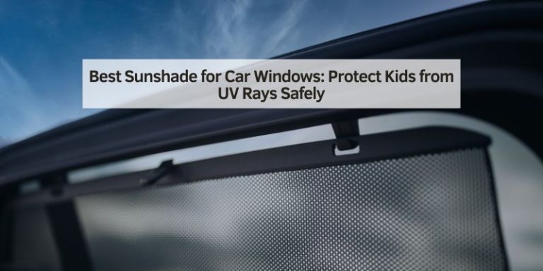 Best Sunshade for Car Windows