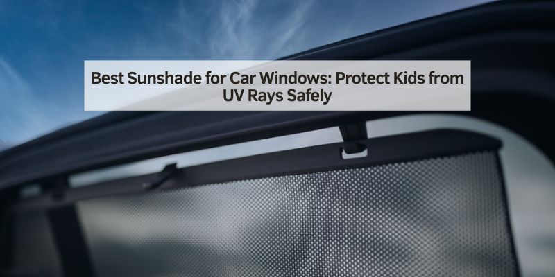 Best Sunshade for Car Windows