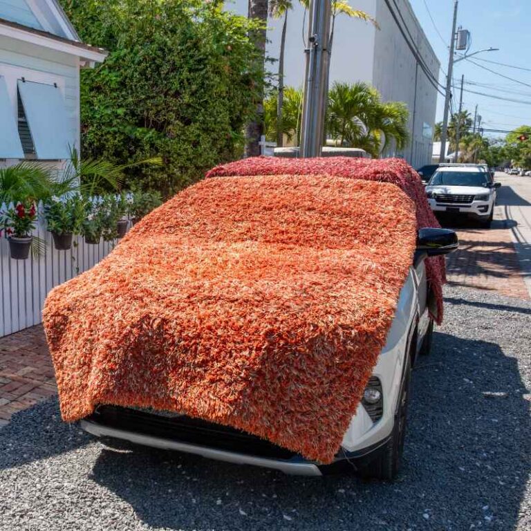 How to Protect Your Car from Hail