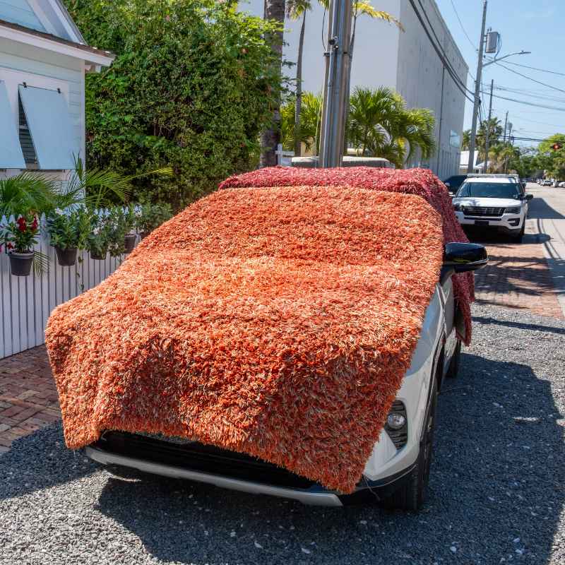 How to Protect Your Car from Hail
