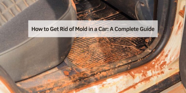 How to Get Rid of Mold in a Car