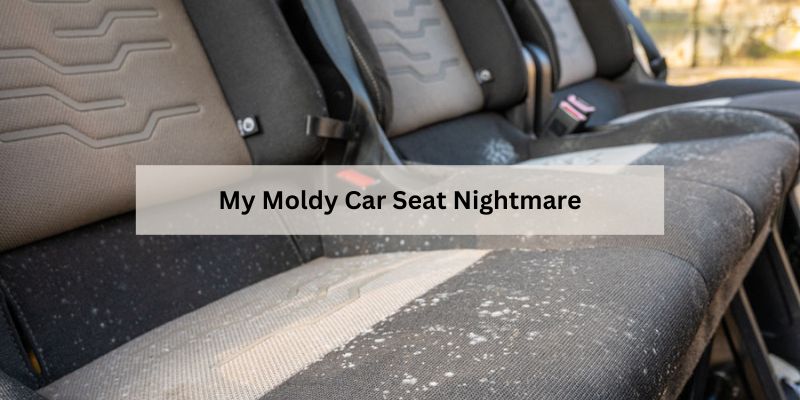 My Moldy Car Seat Nightmare