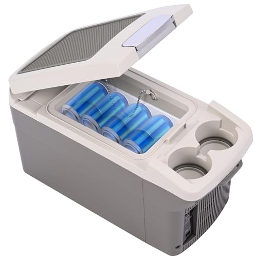 Console Cooler for Car