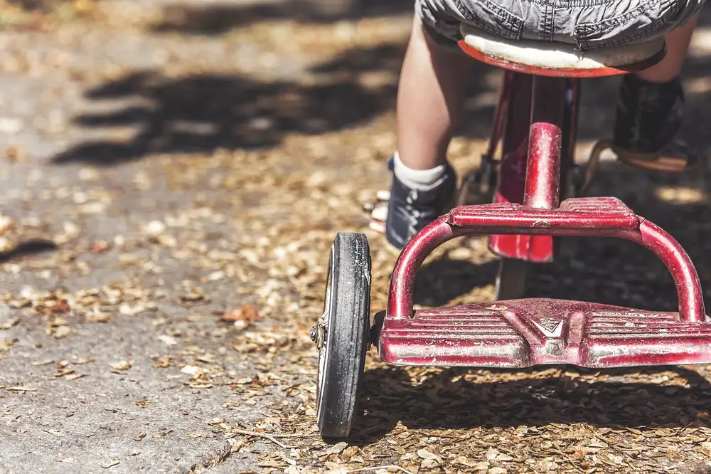 A child riding a red tricycle on a leaf-covered path