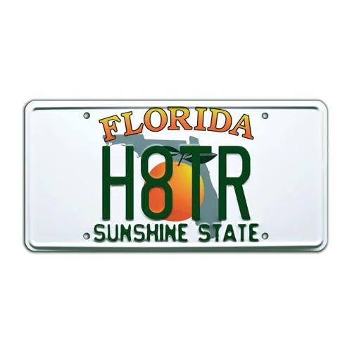 2 Fast 2 Furious H8TR metal stamped novelty license plate
