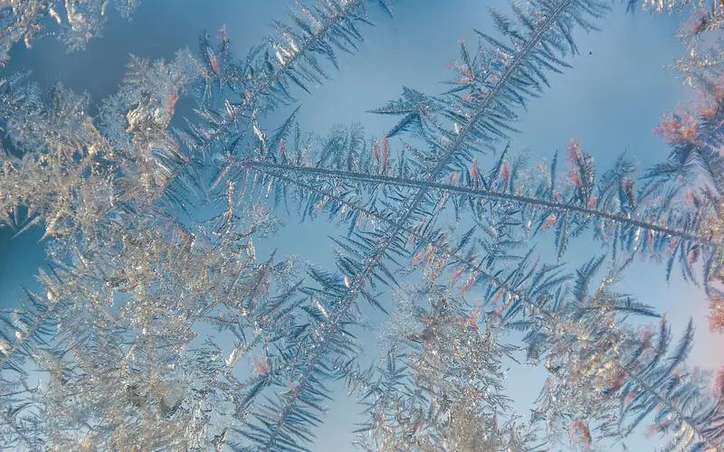 Frost crystals forming on a glass surface
