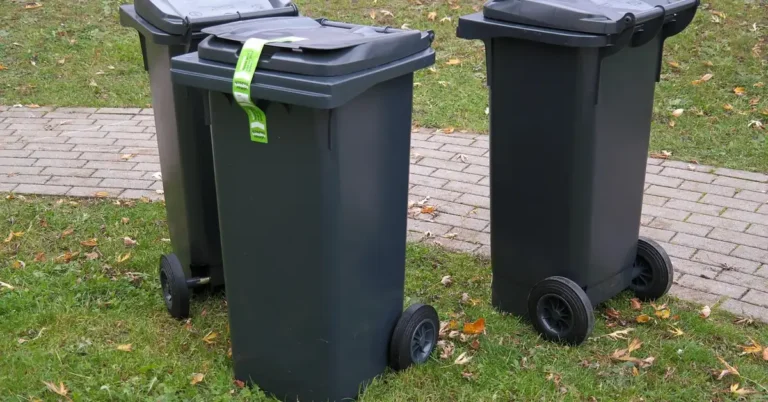 Grey wheeled waste bins standing on grass beside a paved path