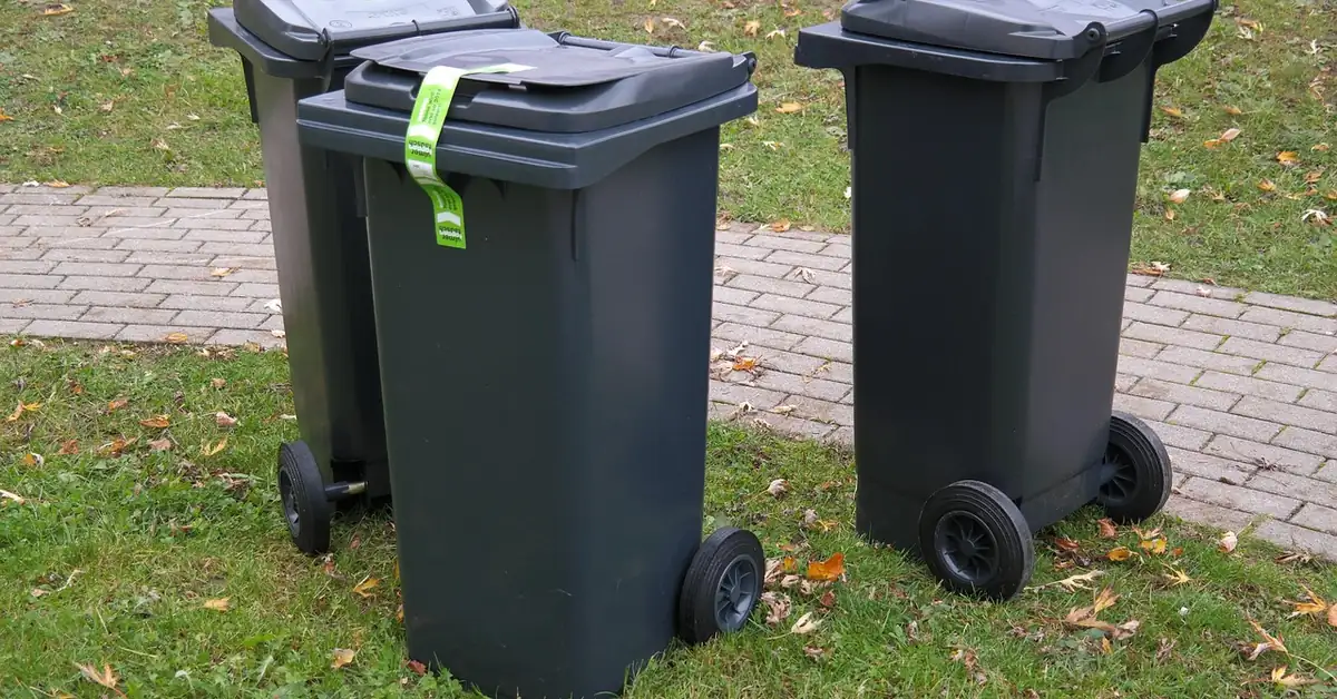 Grey wheeled waste bins standing on grass beside a paved path