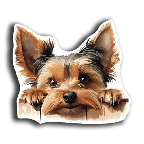KCD peeking Yorkshire Terrier sticker decal in full color with paws draped over the edge