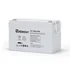 Renogy Deep Cycle AGM 12 Volt 100Ah Battery, 3% Self-Dischar