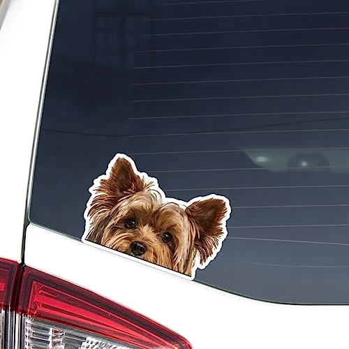 Realistic peeking Yorkie face decal applied to the rear window of a parked car