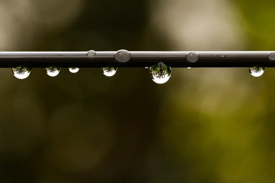 Water droplets hanging from a thin dark line
